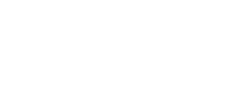 Fraser Advanced Information Systems logo Fraser Advanced Information Systems logo